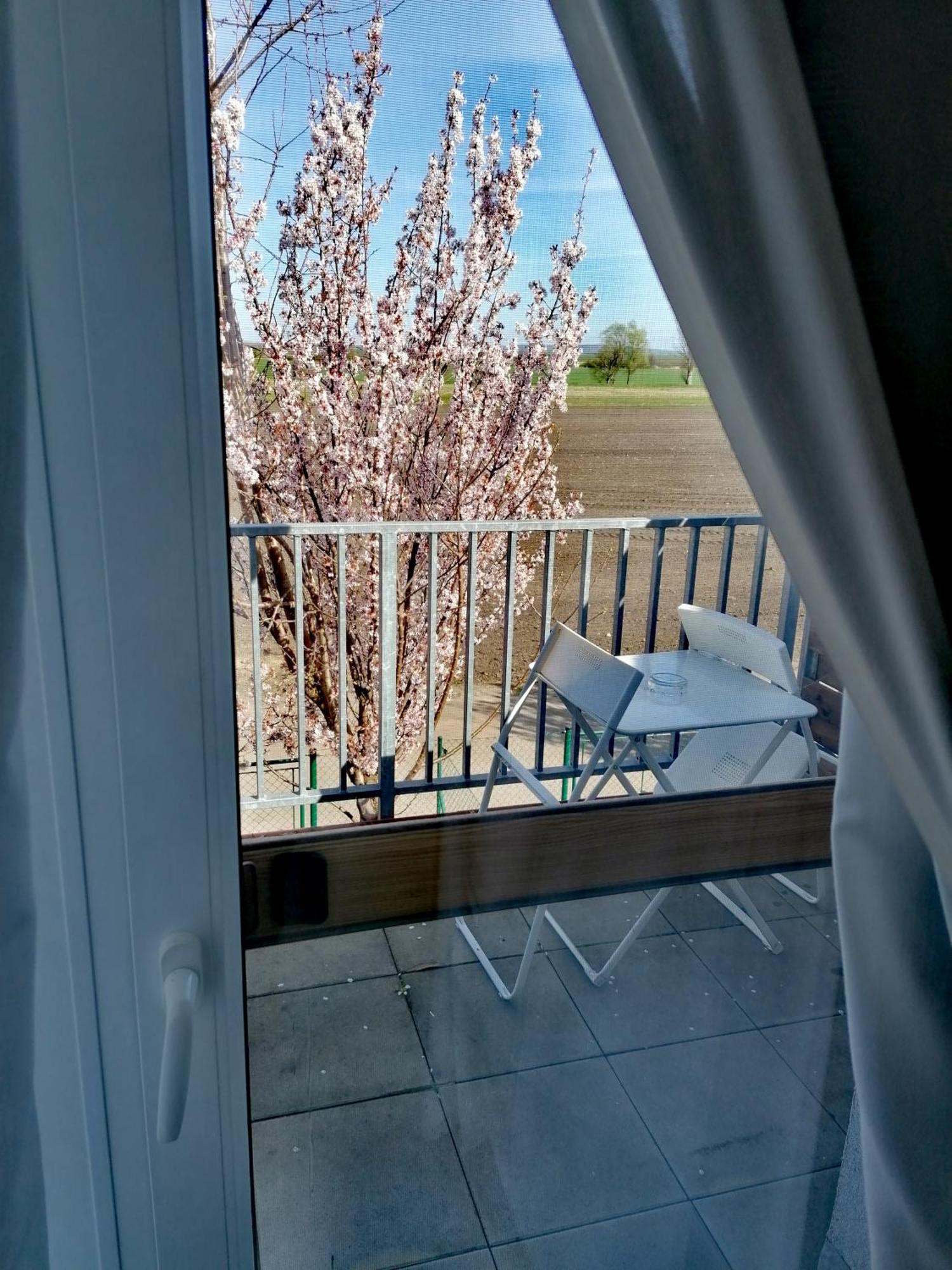 Duplex Palava Apartment *